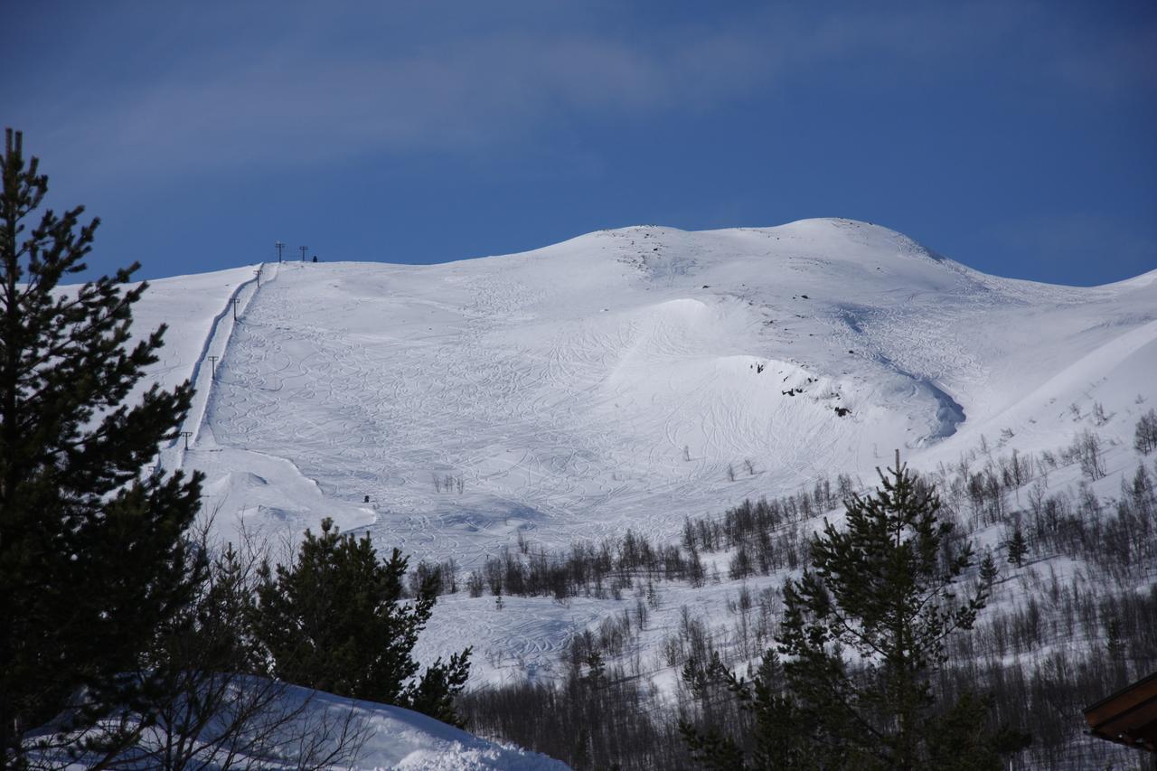 Lemonsjo Fjellstue Og Hyttegrend Randsverk Eksteriør billede